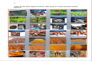 11.38 % Curcumin Turmeric from Papua New Guinea